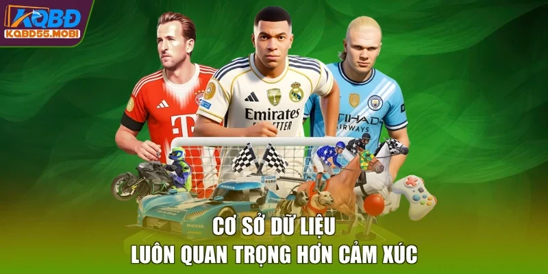 Cơ sở dữ liệu luôn quan trọng hơn cảm xúc