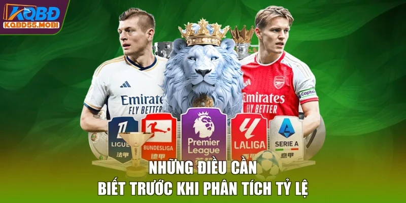 Những điều cần biết trước khi phân tích tỷ lệ