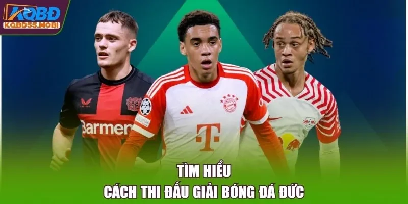 Tìm hiểu cách thi đấu giải bóng đá Đức 